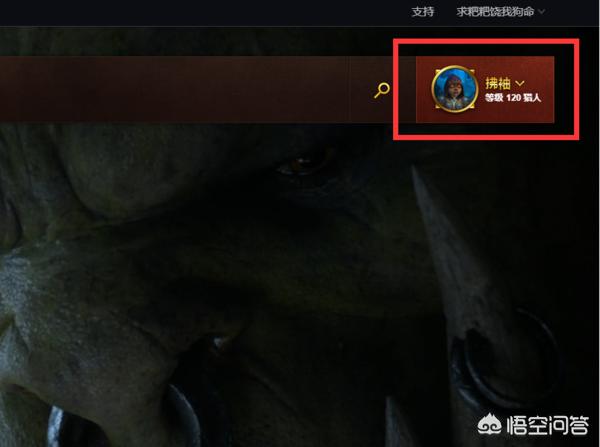 魔兽世界角色查询器 魔兽世界角色查询-第2张图片-春华游戏网