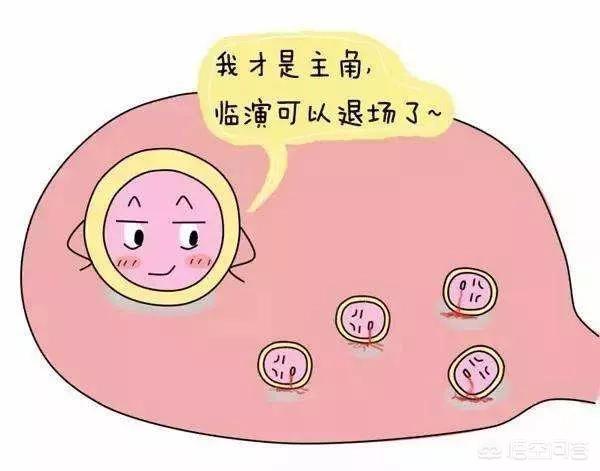 如何测量女性是否排卵了(图2)