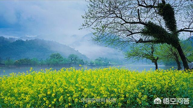 浙江省开化县旅游景点，浙江省开化县旅游景点有哪些