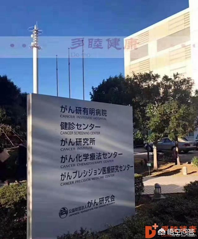 海外生活旅行日本，日本综艺海外旅行