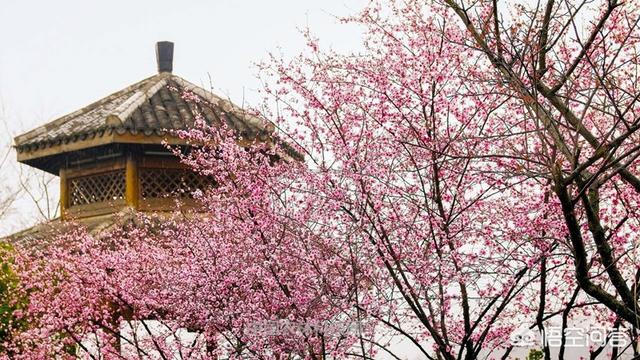 余杭旅游美食攻略路线， 余杭旅游美食攻略路线图