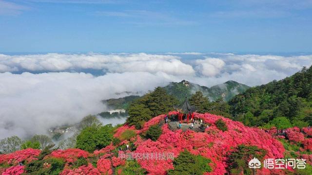 麻城在什么地方