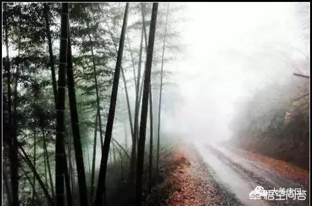 赣州旅游旅行必去景点(图24)