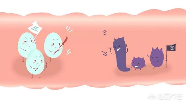 菌群失调怎么快速调理(图2)