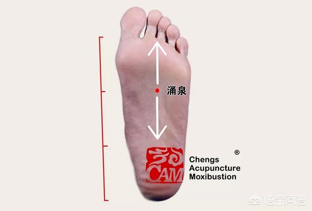 跟骨疼是怎么回事(图2)