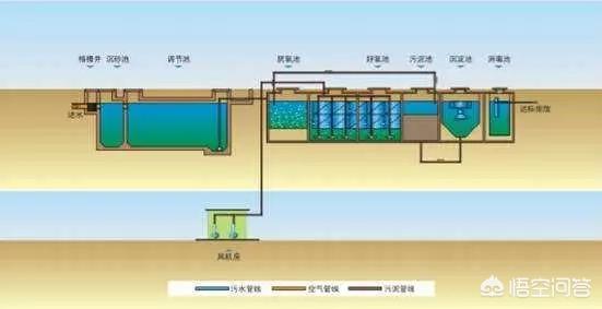 污水处理基础知识，污水处理基础知识培训