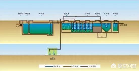 污水处理流程（污水处理流程工艺）