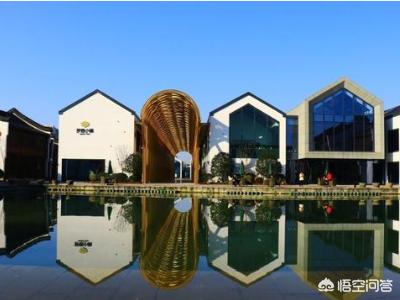 杭州市那个区发展好？