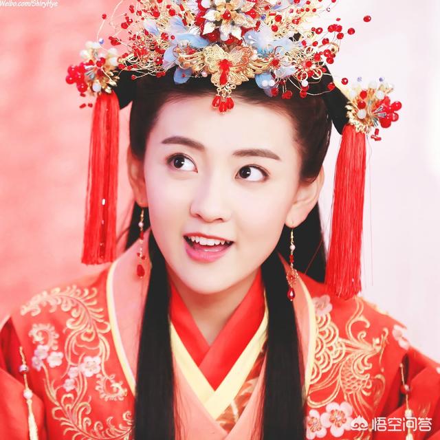 寵物博覽會2017?寵物博覽會2024!