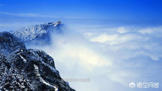 风景网风景网图