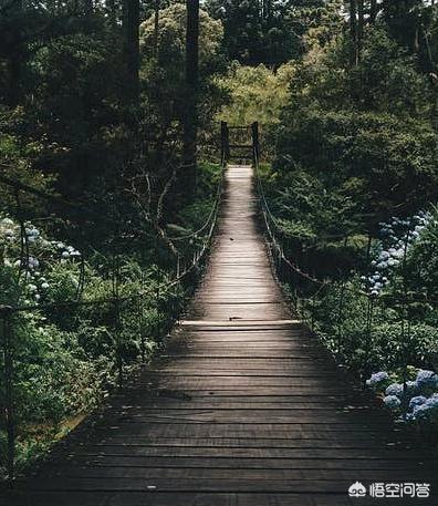 举起手来2免费观看正版（举起手来2在线看全集）