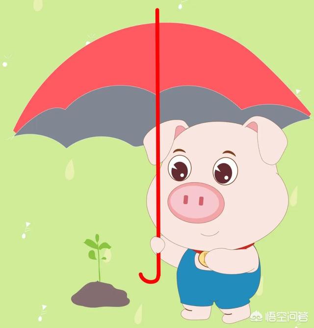 春天用英語怎么說-春天用英語怎么說spring