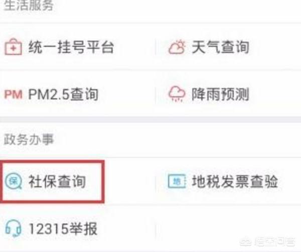 怎么查询自己的社保信息，怎么查询自己的社保信息有没有缴纳生育险