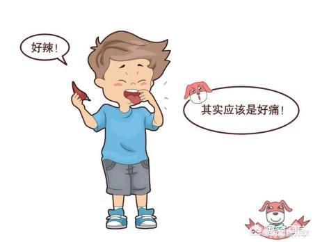 吃辣椒能减肥吗怎么吃(图4)