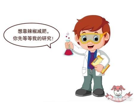 吃辣椒能减肥吗怎么吃(图7)