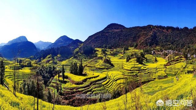 罗平旅游景点路线图-罗平旅游景点路线图片