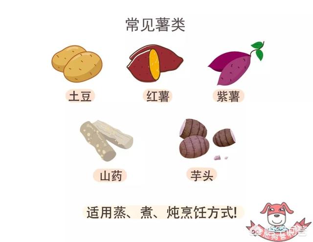 吃什么提高免疫力最好最快(图3)