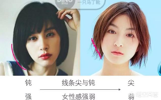 頭型大全?頭型大全圖片男!