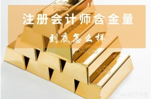 注册会计师网站，中国注册会计师网站