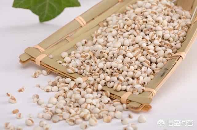 薏米有什么养生功效(图3)