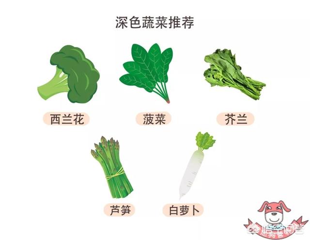 吃什么提高免疫力最好最快(图4)