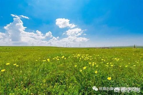 河南哪个山草原多