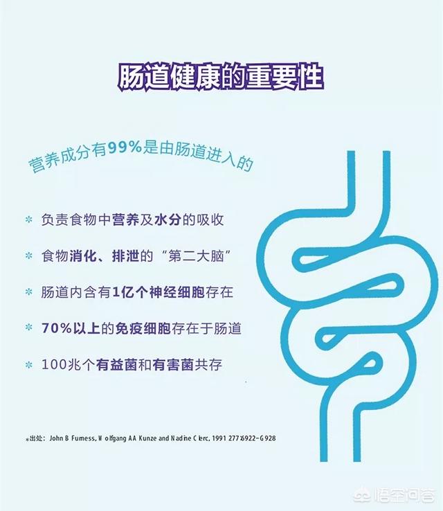 菌群失调怎么快速调理(图1)