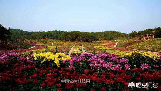 麻城在什么地方