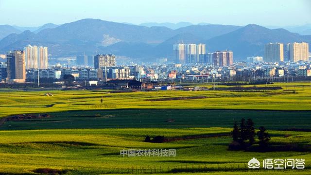 罗平花海小火车路线，罗平花海小火车路线图