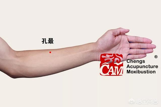 止鼻血的最有效方法_止鼻血的最有效方法老年人