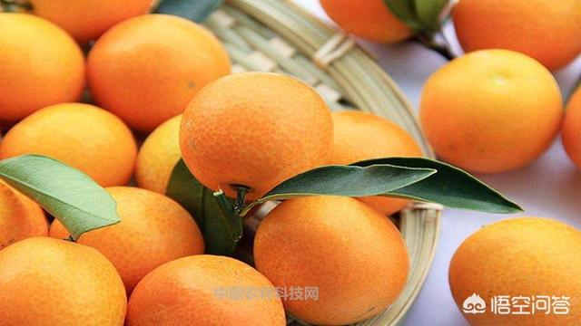 阳朔所有景点？