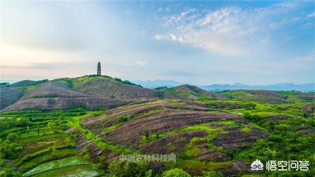 麻城在什么地方