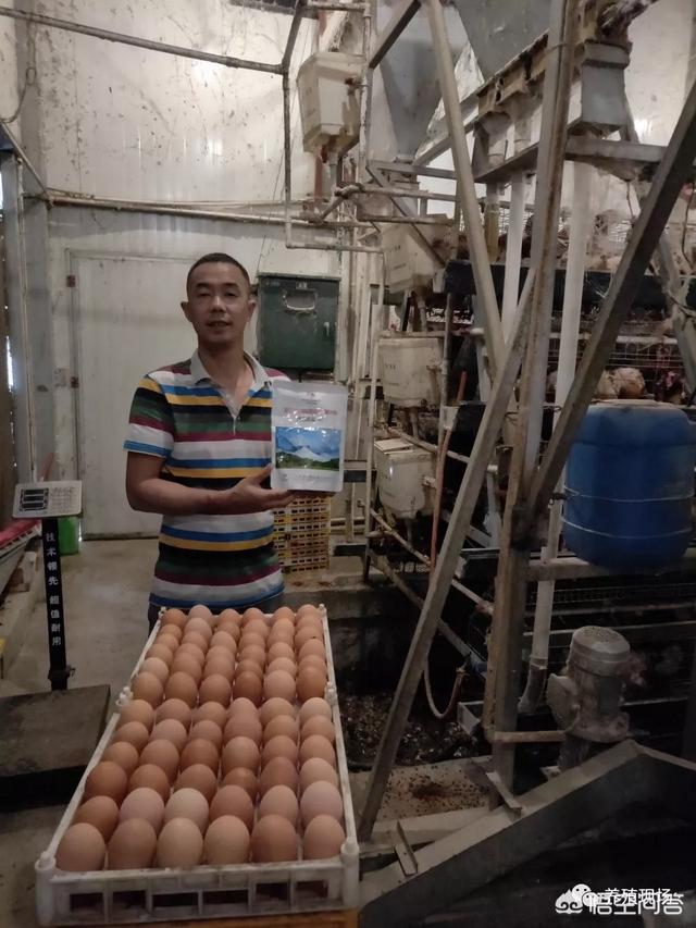 如果现在有人投资任何你想从事的行业，最高500万，你想做什么？