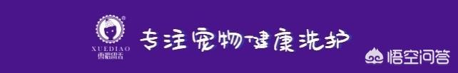 猫尾巴不能拽吗,第6张