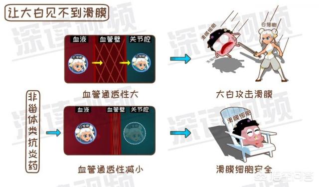 内风湿关节炎怎么调理(图11)