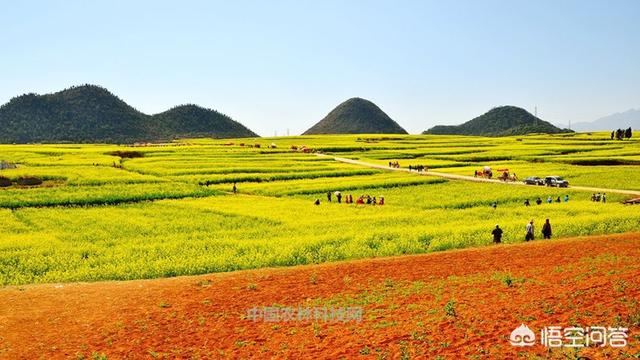 罗平景点门票，罗平景点门票价格