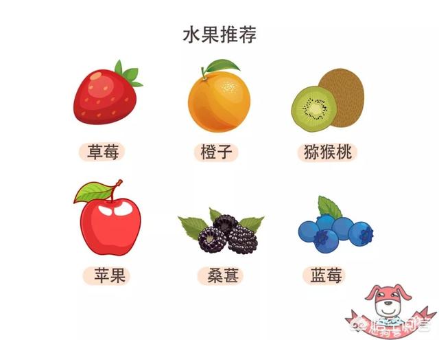 吃什么提高免疫力最好最快(图5)