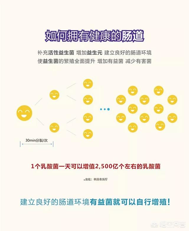 菌群失调怎么快速调理(图3)