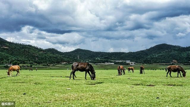 从丽江徒步到香格里拉的具体路线