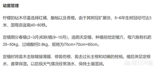 柠檬果树的种植技术 柠檬果树的种植技术与管理