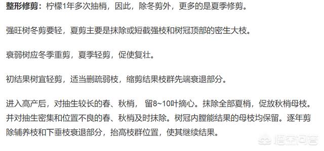 柠檬果树的种植技术 柠檬果树的种植技术与管理