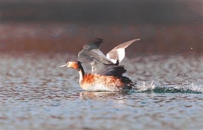 沈阳市鸟岛骑车怎么走啊