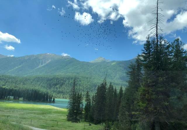 喀纳斯旅游穿搭夏季， 喀纳斯旅游穿搭夏季图片