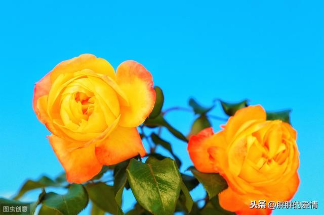 经典句子人生感悟人生感悟_最经典人生感悟短句
