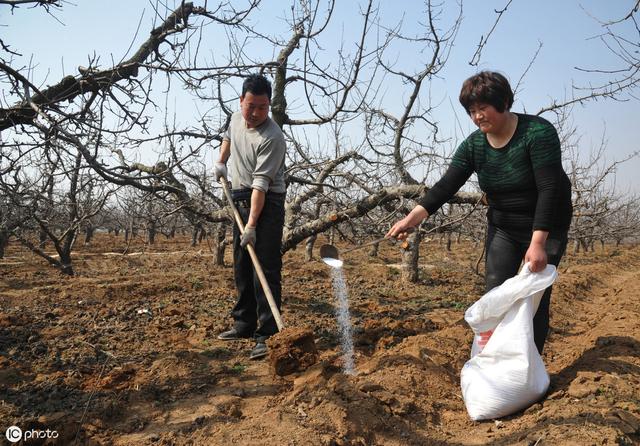 园林植物冬季施肥标准-园林植物冬季施肥标准是什么