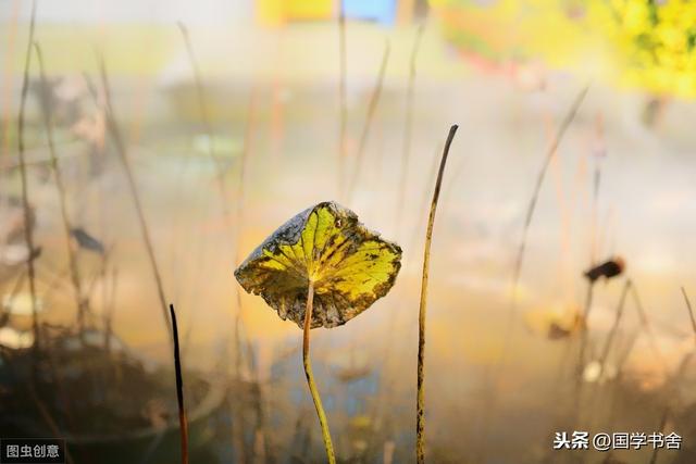 遇事要沉着冷静的名言孔子,人生深入思考的句子