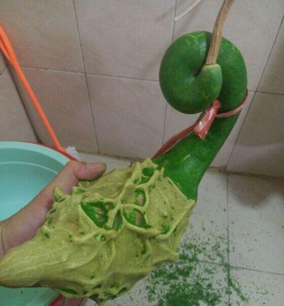 鹤首瓜有什么功效