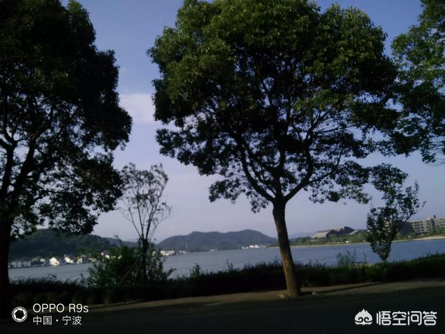 福建车牌为什么是不是福