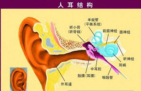 外耳道发炎(外耳道炎的症状有什么)