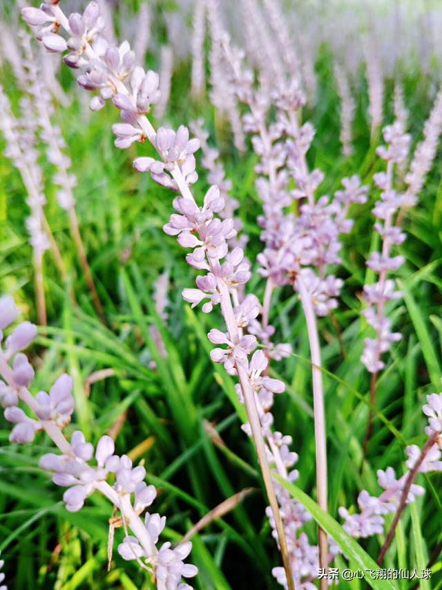 西安市杨陵区怎么样